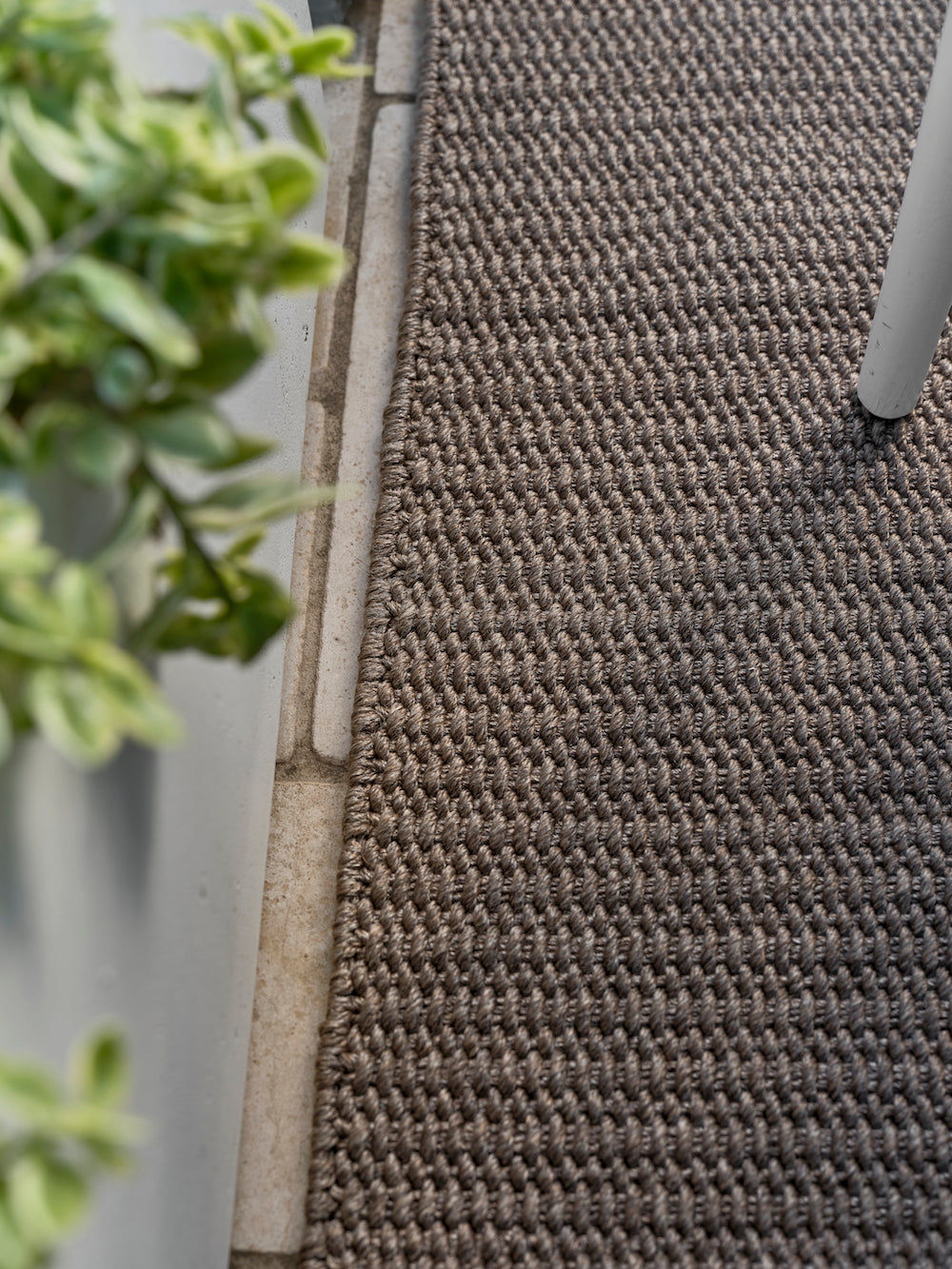 Bisque Rug (250 x 300)