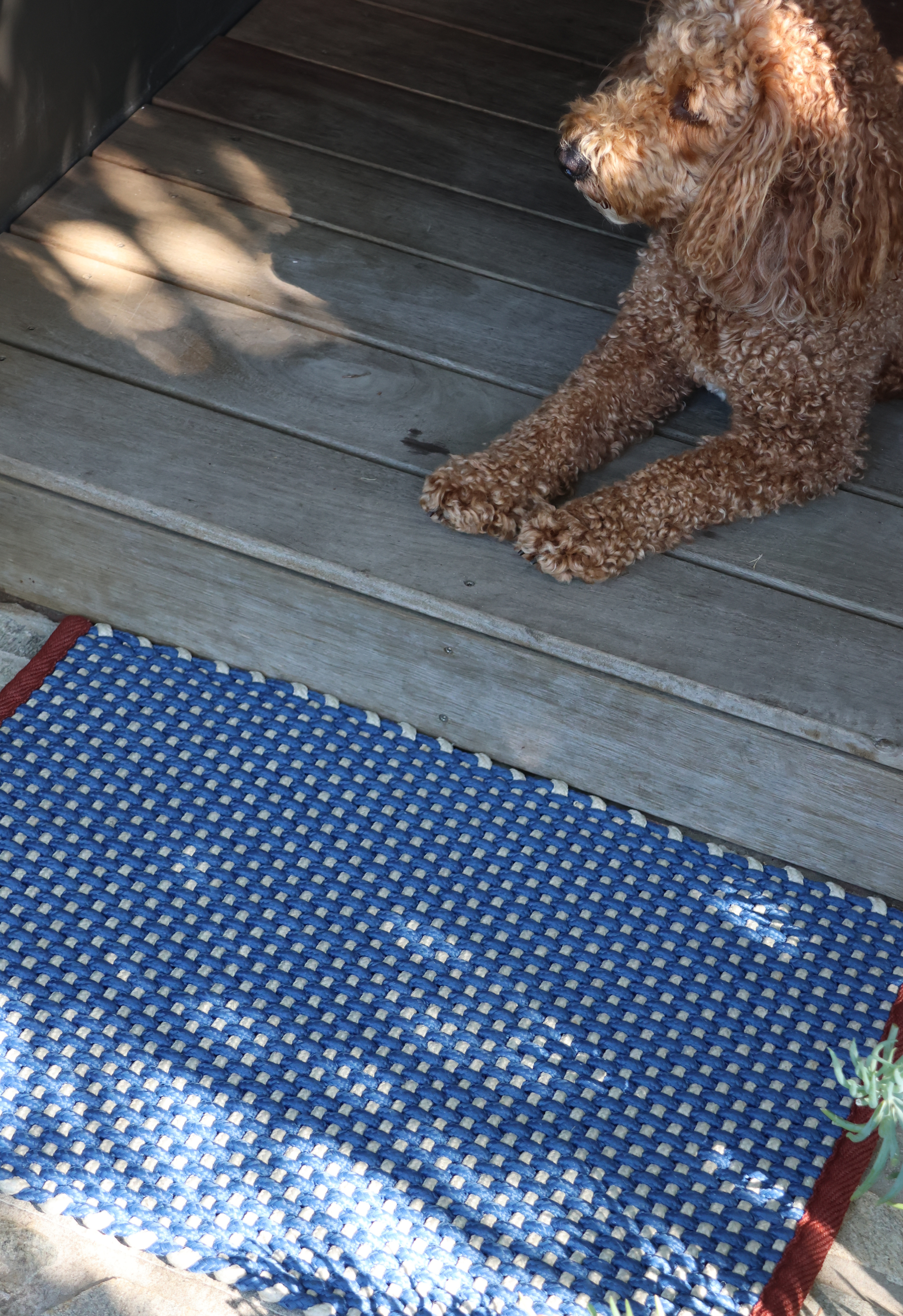 Chase Doormat (50 x 70)